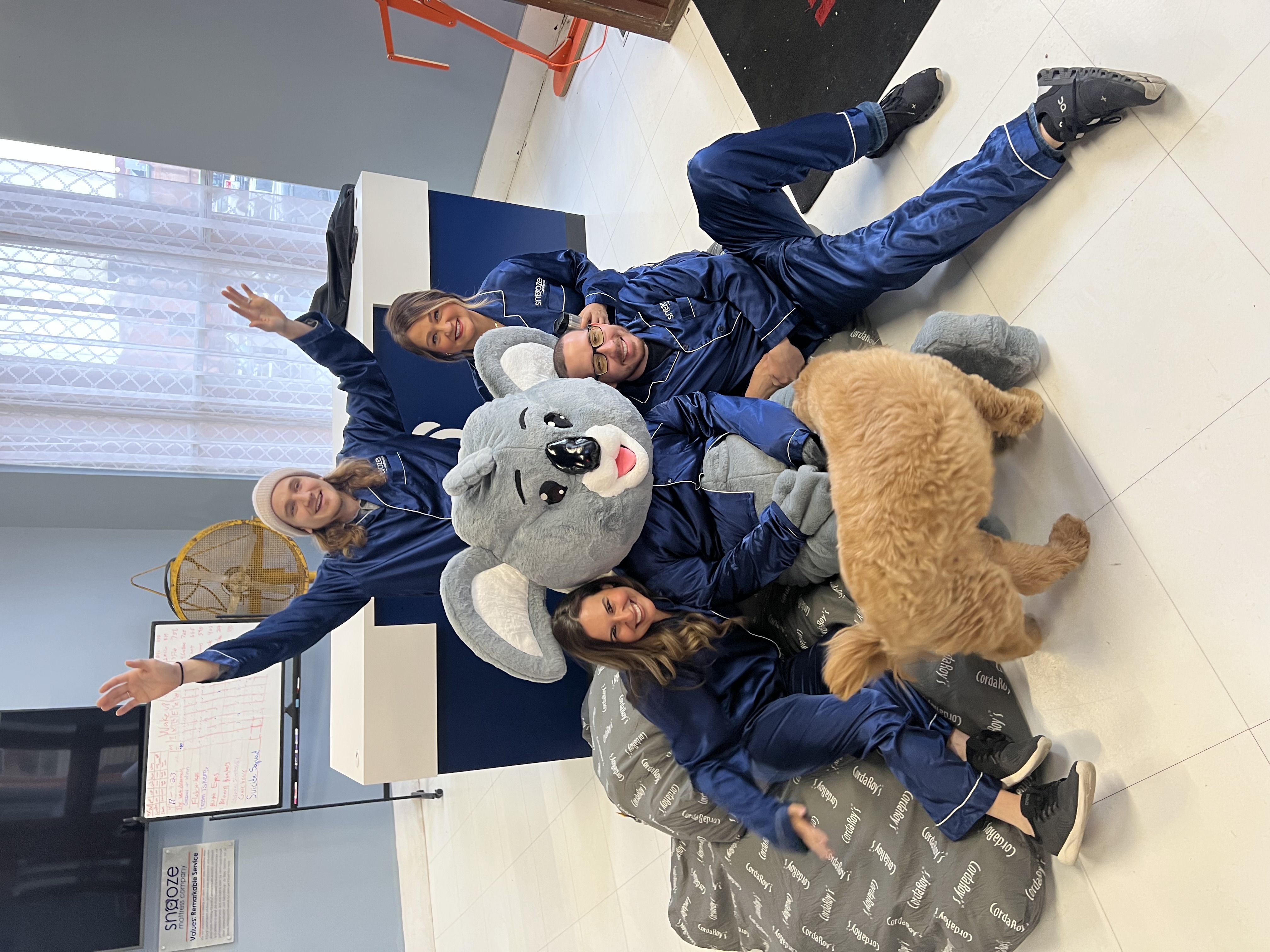 Snooze Mattress Company employees wear uniform and sit with mascot. 