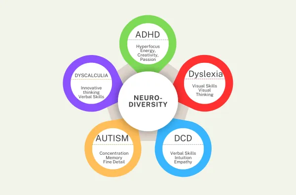 What Makes a Brain Neurodivergent?