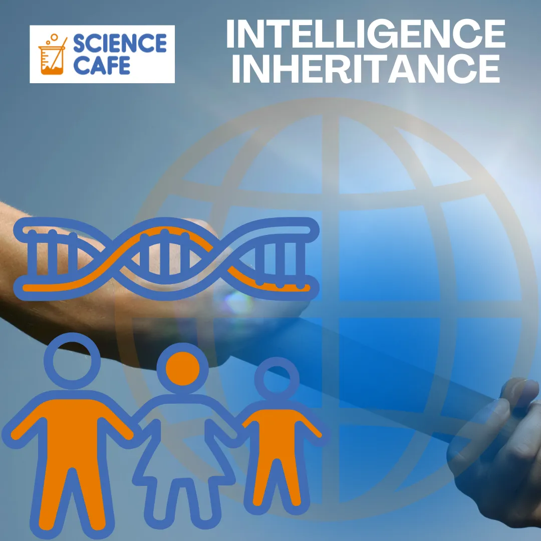 Inheritance and Neurodivergence