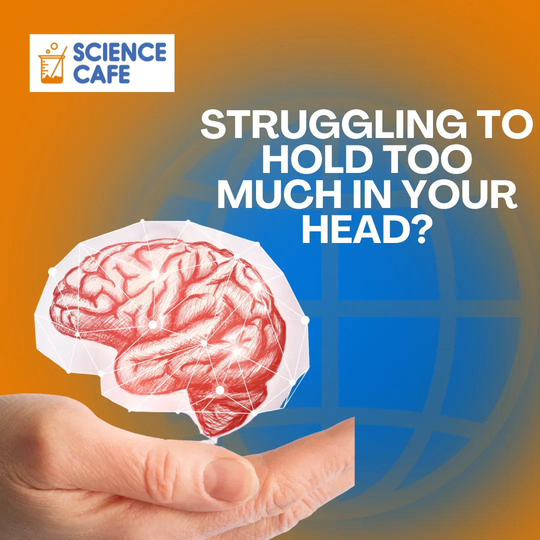 Improving memory
