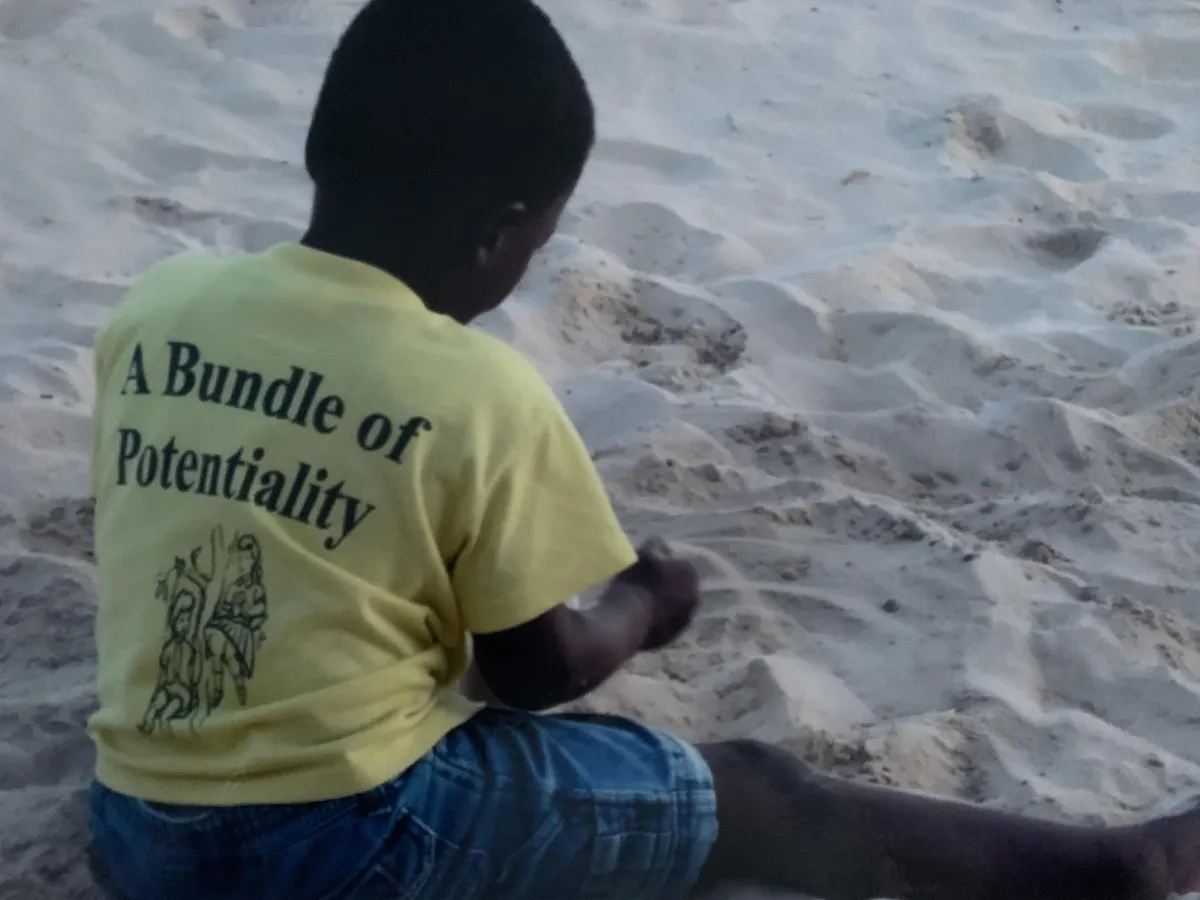 A Bundle of Potential