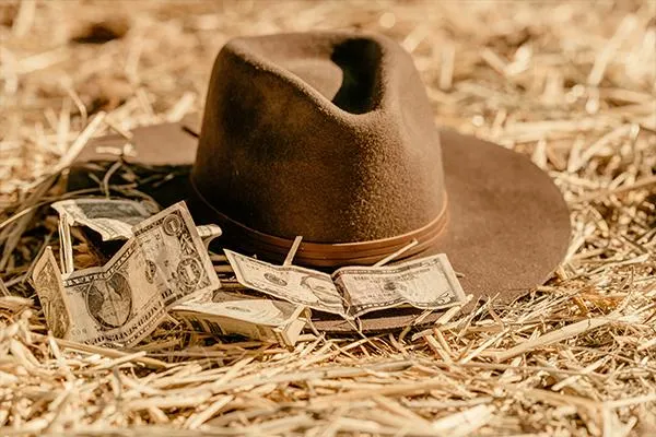 Cowboy hat with money