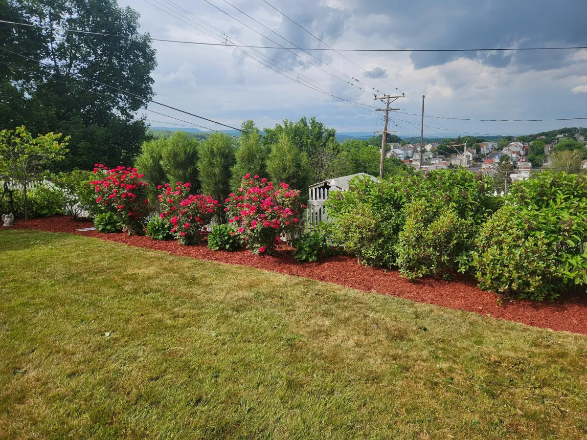Professional lawn mowing equipment and results in Altoona PA