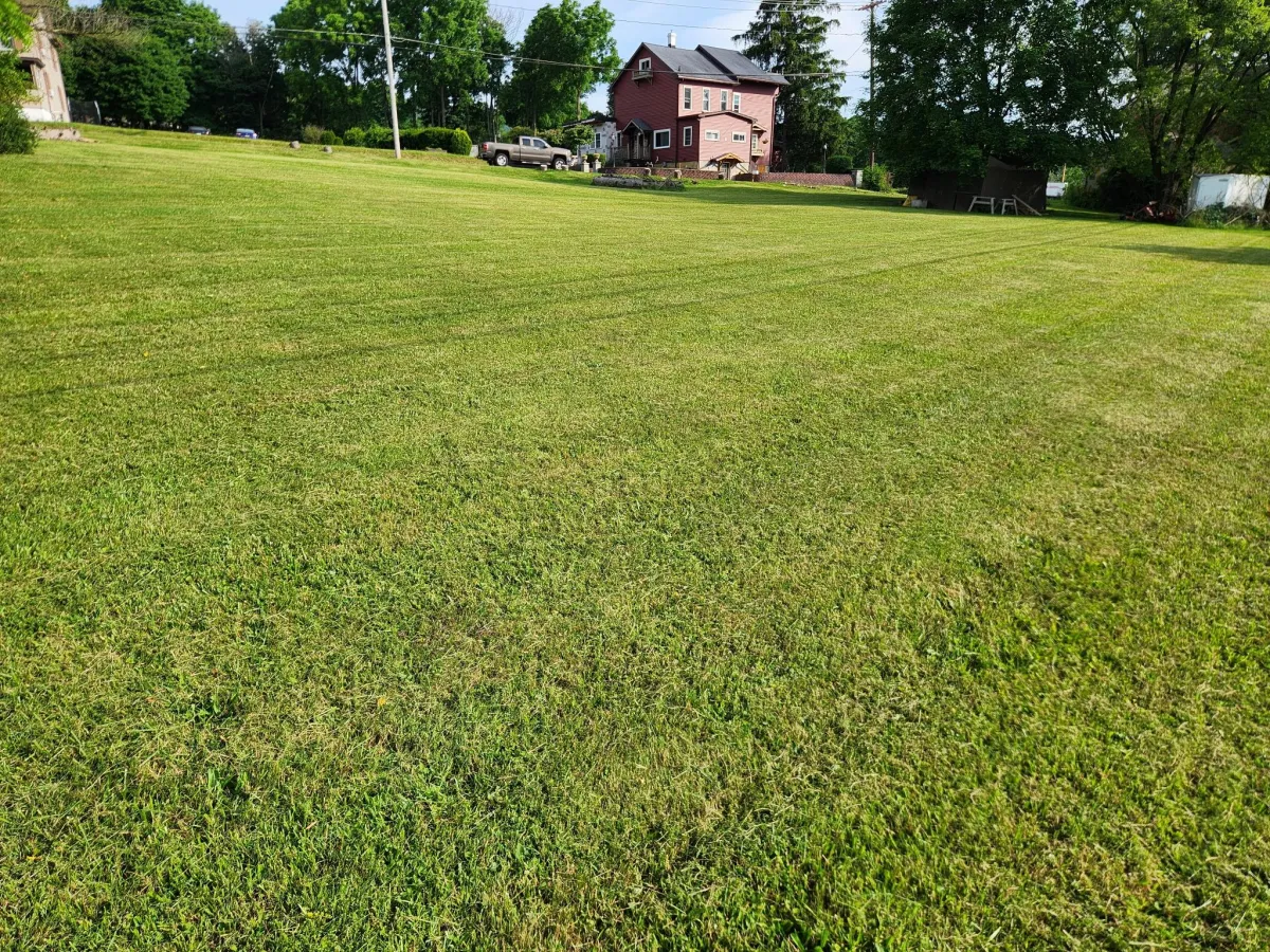 Altoona neighborhood lawn mowing service with professional results