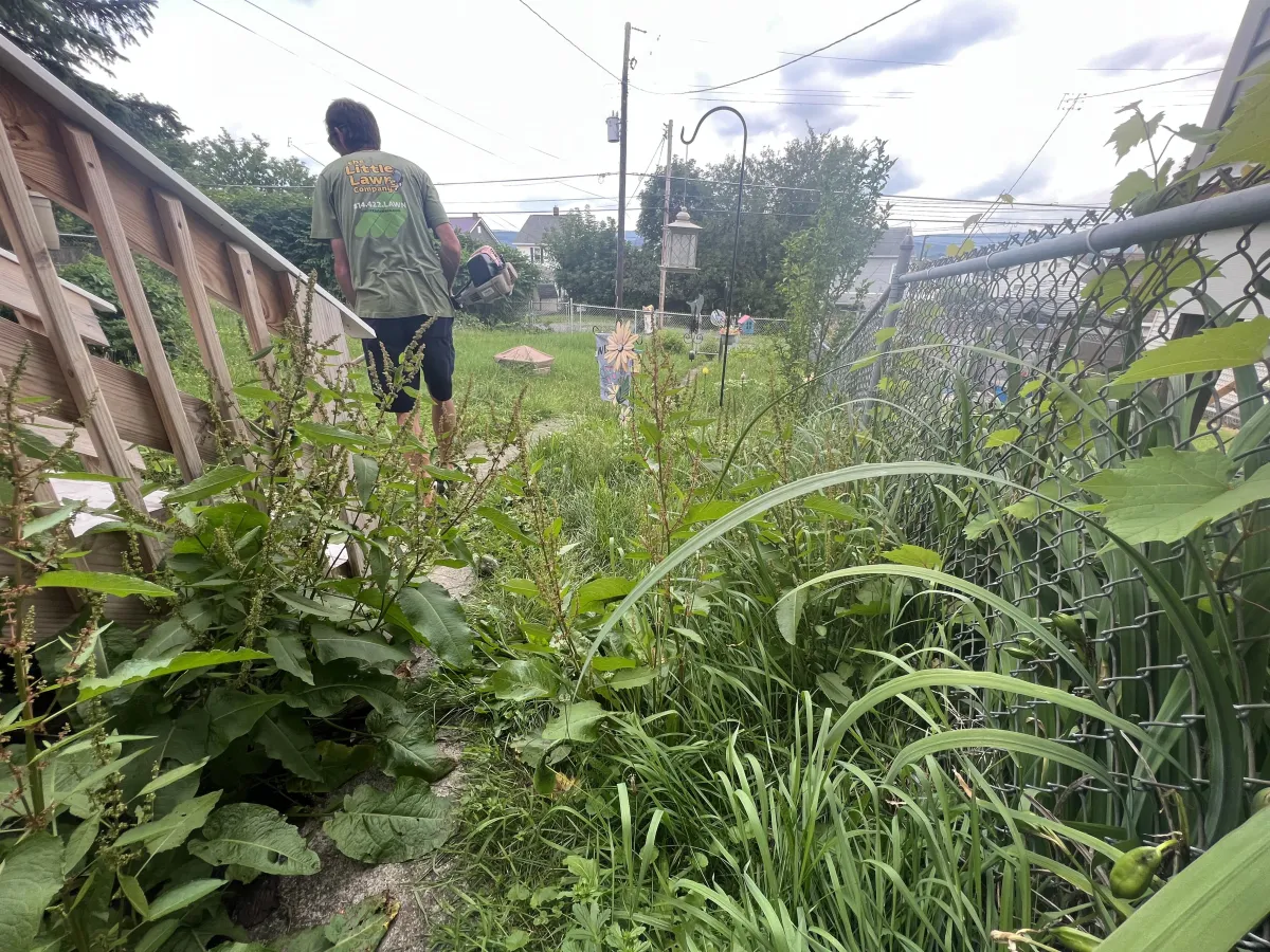 Before Image of an Altoona Lawn