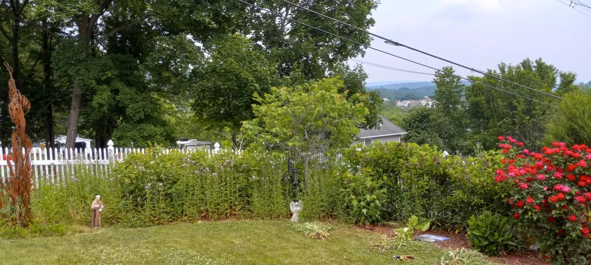 Blair county garden bed before professional services.