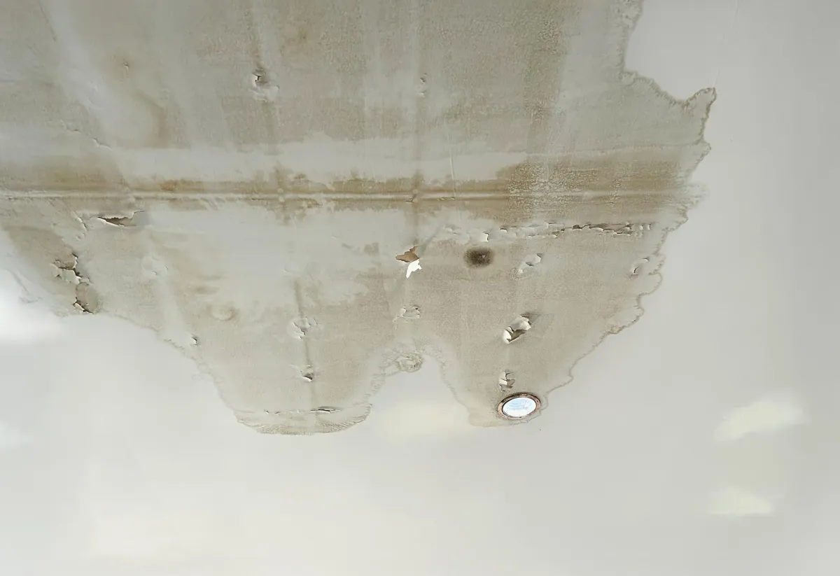 What to Do Immediately After Discovering a Roof Leak