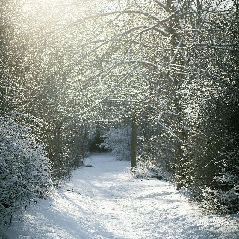 When Your Heart Starts to Breathe Again - Renewal