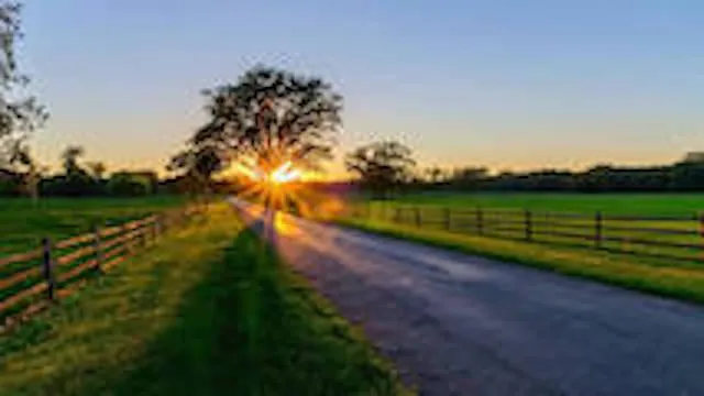 He Gently Leads Us -- Guidance for the Road Ahead