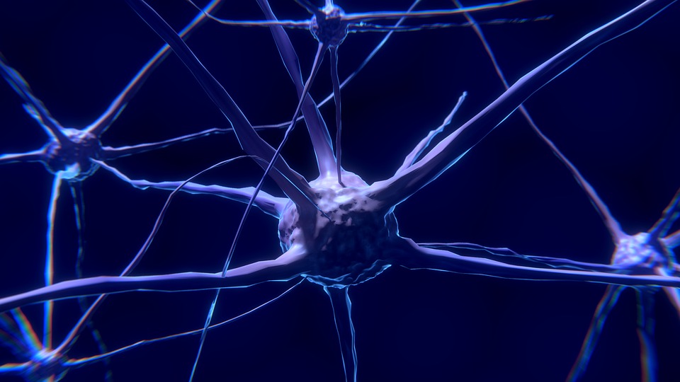 BDNF: Miracle Gro For The Brain