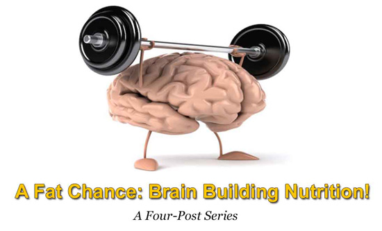 A Fat Chance (Part FOUR): Fat, the Neuroprotector!