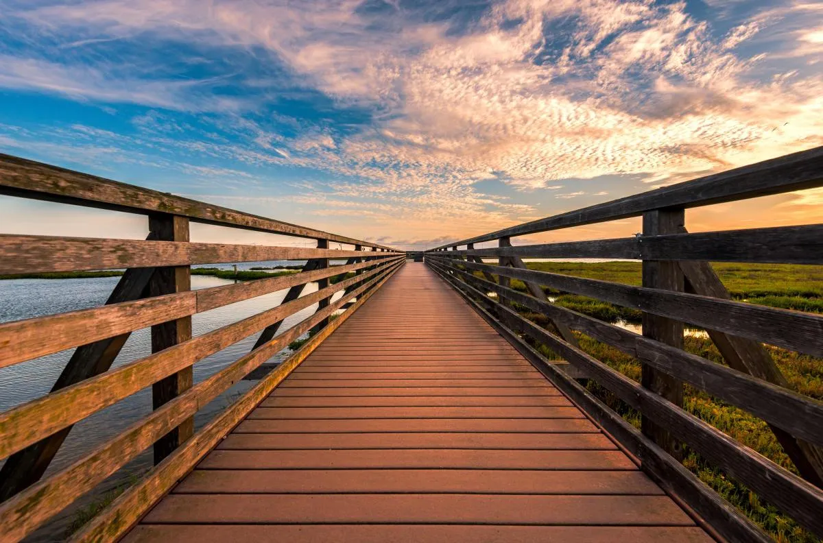 Bolsa Chica Ecological Reserve: Bird-Watching Bliss Meets Coastal Calm