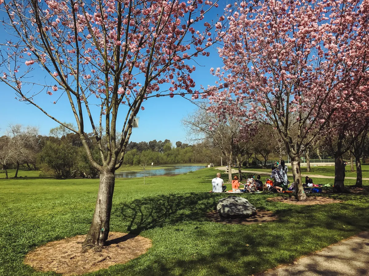 Central Park Charm: Why The Park Bench Café is Huntington Beach’s Cozy Gem