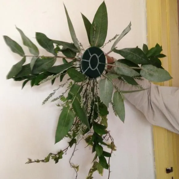 DIY Bridal Bouquet: Making Your Own Wedding Flowers