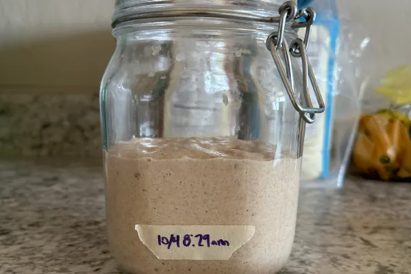 How To Create A Sourdough Starter, Day 1 To Day 8