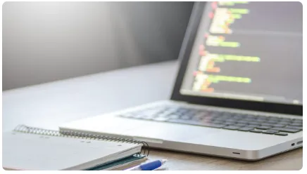 Focus on majors: Bioinformatics