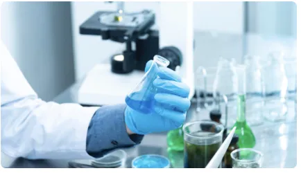 Majoring in Molecular Biology