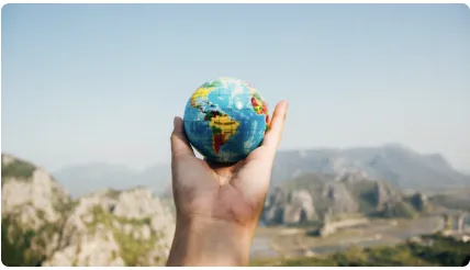 Focus on majors: International Business