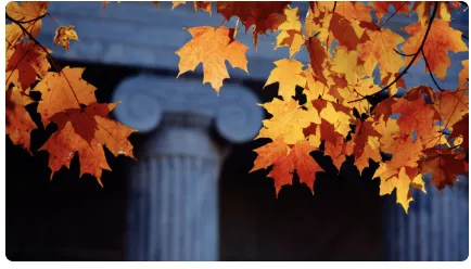 What is Holistic Admissions?