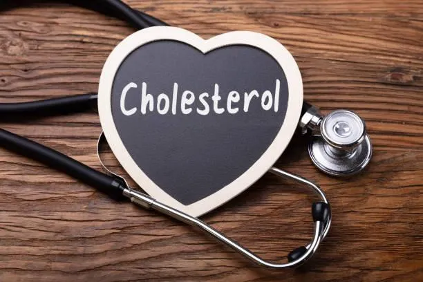Cholesterol: A Good Fat!