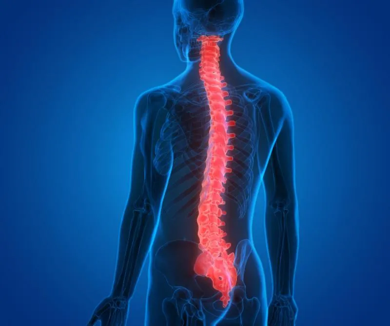 Spinal Cord Injury Care. 