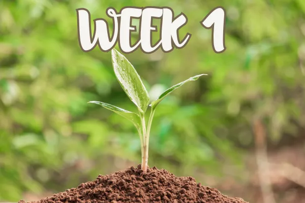 Week 1 Reading