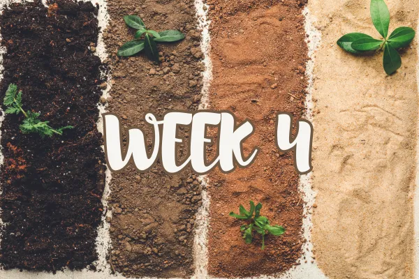 Week 4