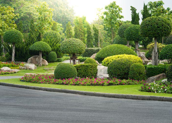Landscaping Services in Dorchester