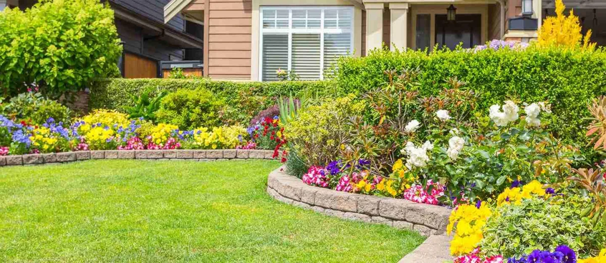 Professional Landscaper in Puddletown