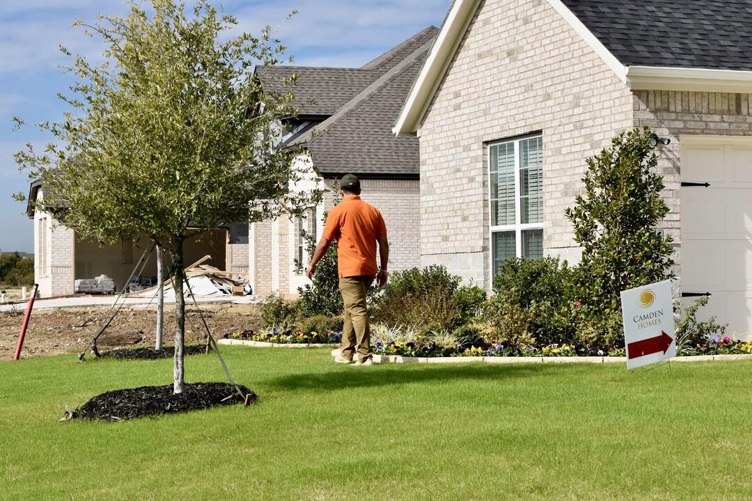 Why You Need a Landscape Gardener in Dorchester