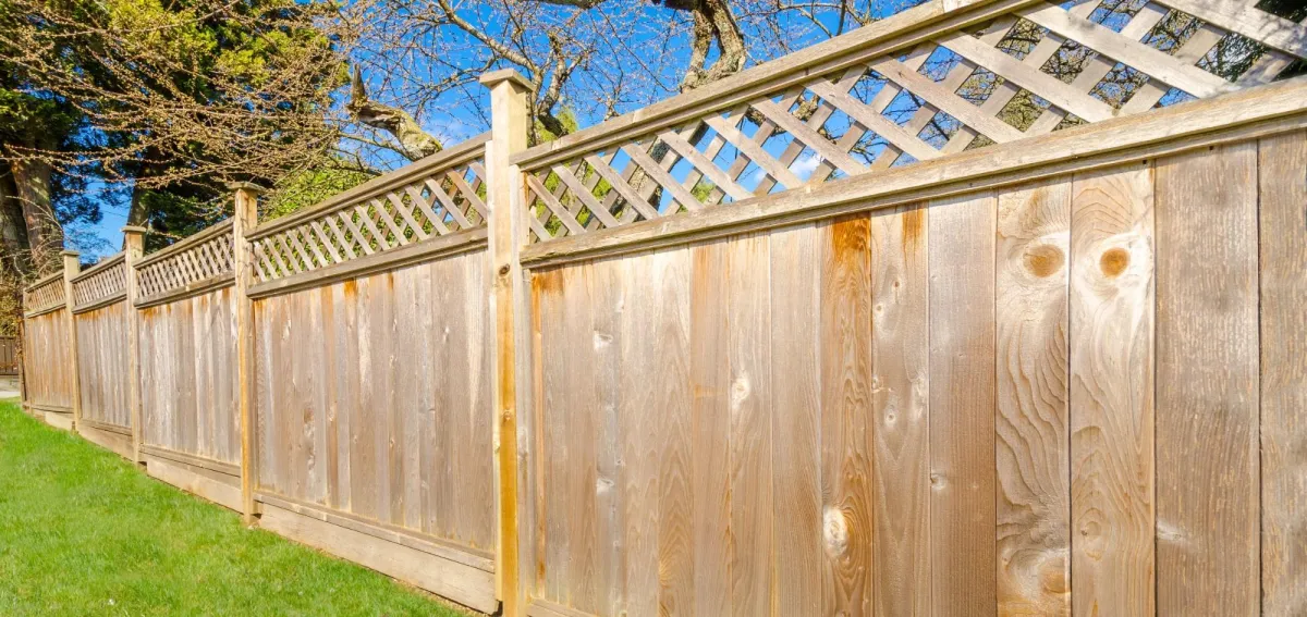 Fence Installation in Dorset: What You Need to Know