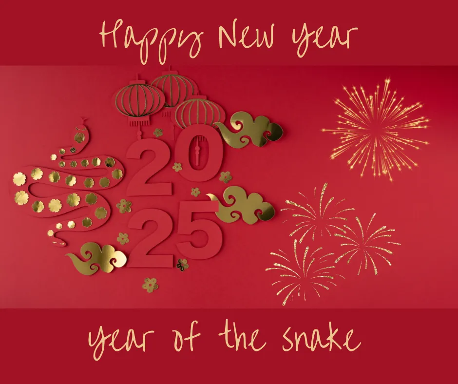 Shed the Old Ways As We Enter the Year of the Snake!