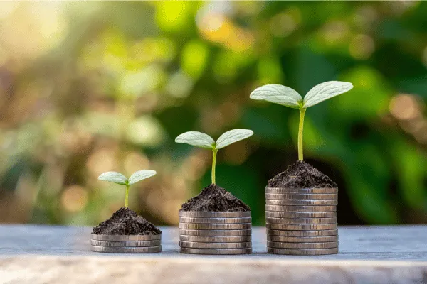 The Simple Habit That Transforms Your Money Mindset