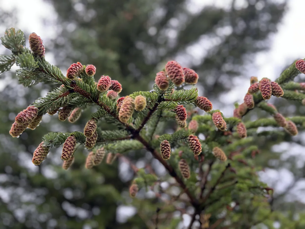 The beginning, again?