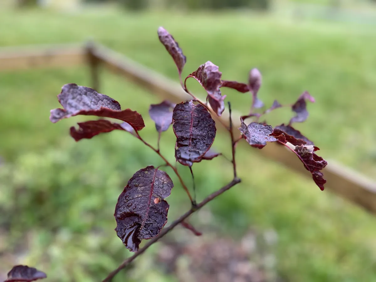 The value of sustainability in business