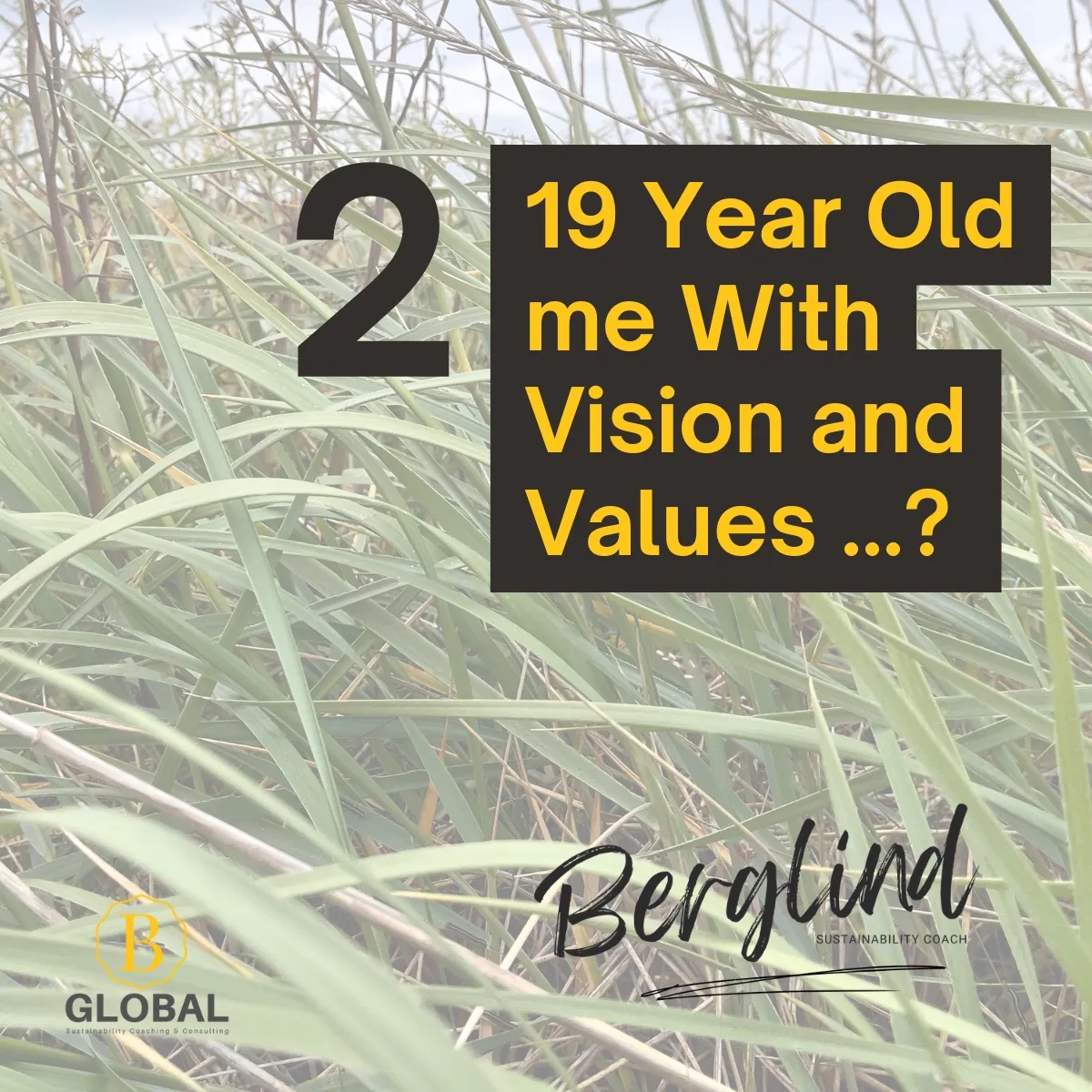 Vision BGlobal