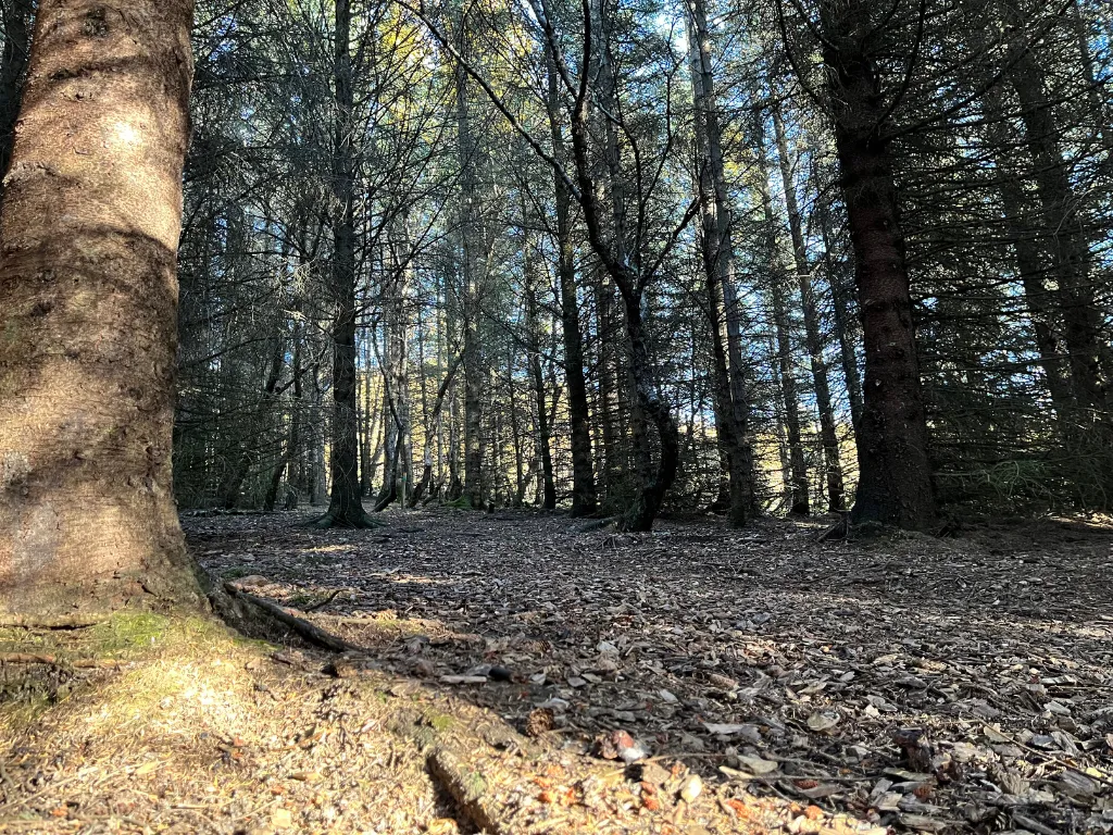 Finding inner steadiness