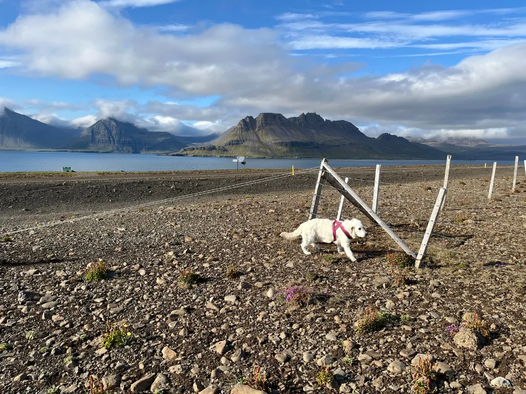 The Hidden Path to Exceptional