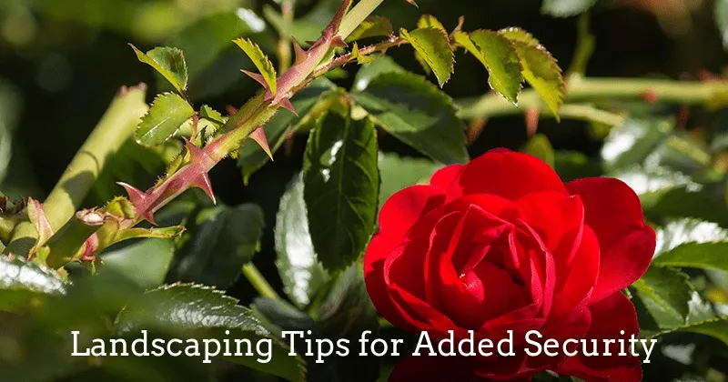 10 Ways to Deter Burglar with Landscaping