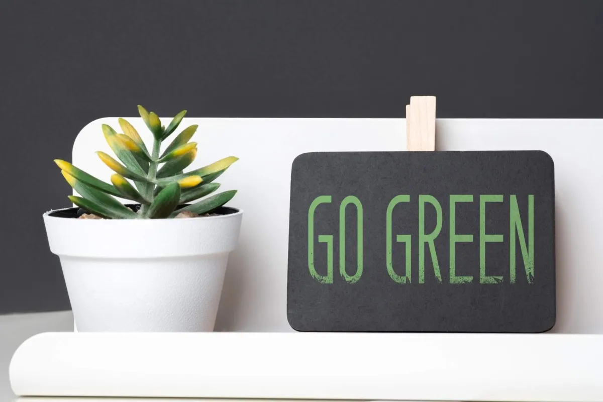 Green Living in the Bay Area: Sustainable Tips for Renters