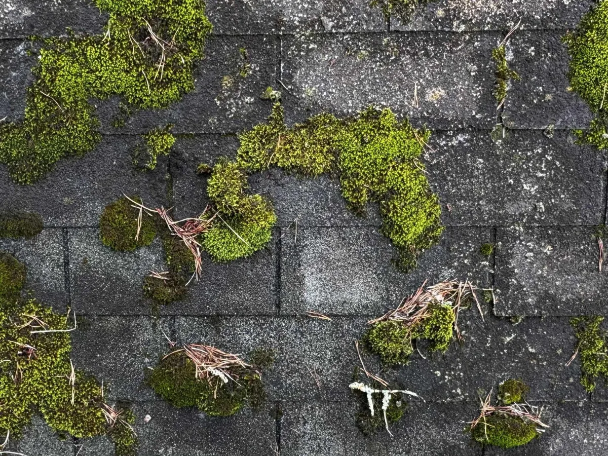 9 Reasons Your Asphalt Shingle Roof Might Not Last As Long As It Should