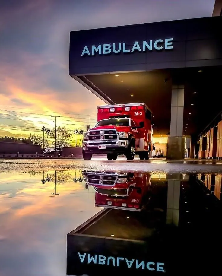 Efficient Placement for Seamless Operations of Nursing Emergency Departments