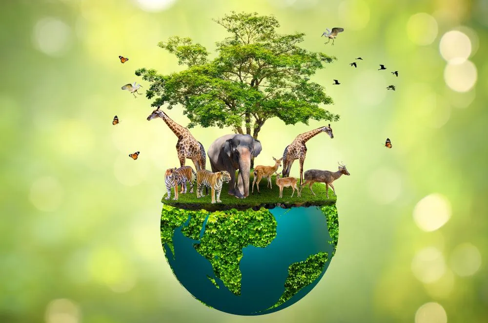 World environment day kenya