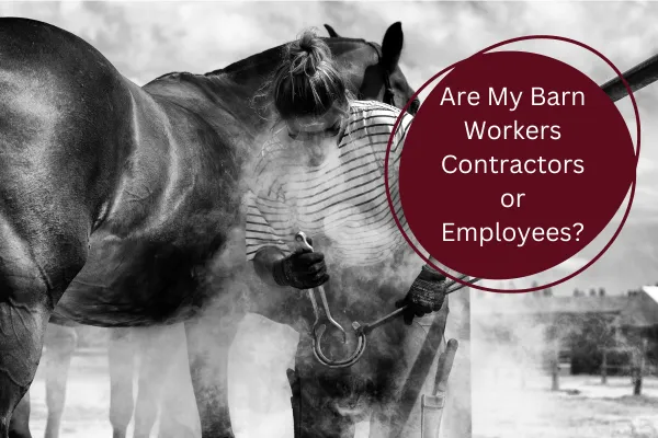 Are my Barn Workers Contractors or Employees?