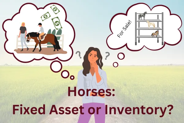 Horses: Fixed Asset or Inventory?