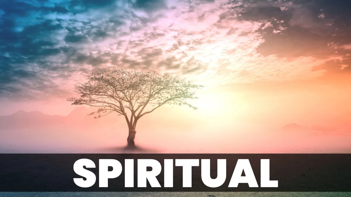 Embracing God’s Gift of Renewal