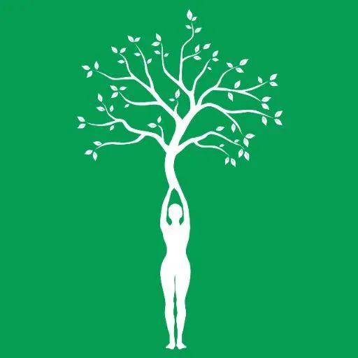 Rebirth Significance