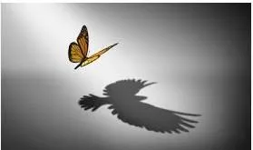 The Quiet Power of Emotional Rebirth