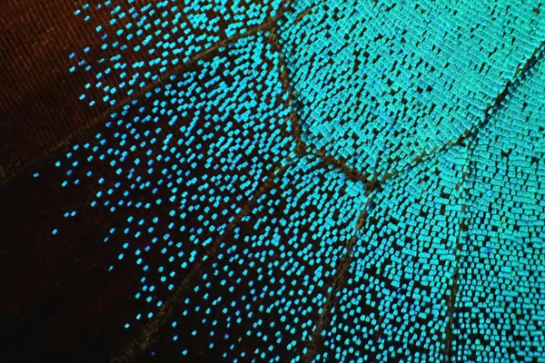 The 25-Minute Rule That Stopped Me Stressing Over My Business Bullshit