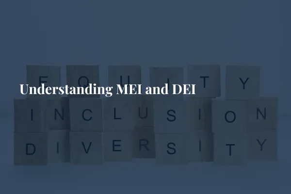 Understanding MEI and DEI
